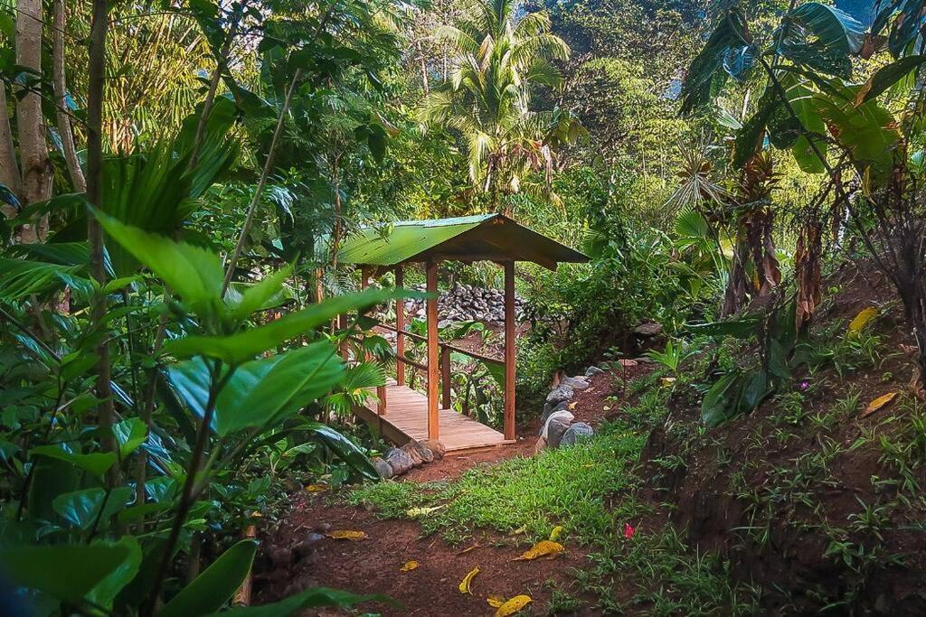 Casa Aire Libre Villa Puerto Jimenez Bagian luar foto